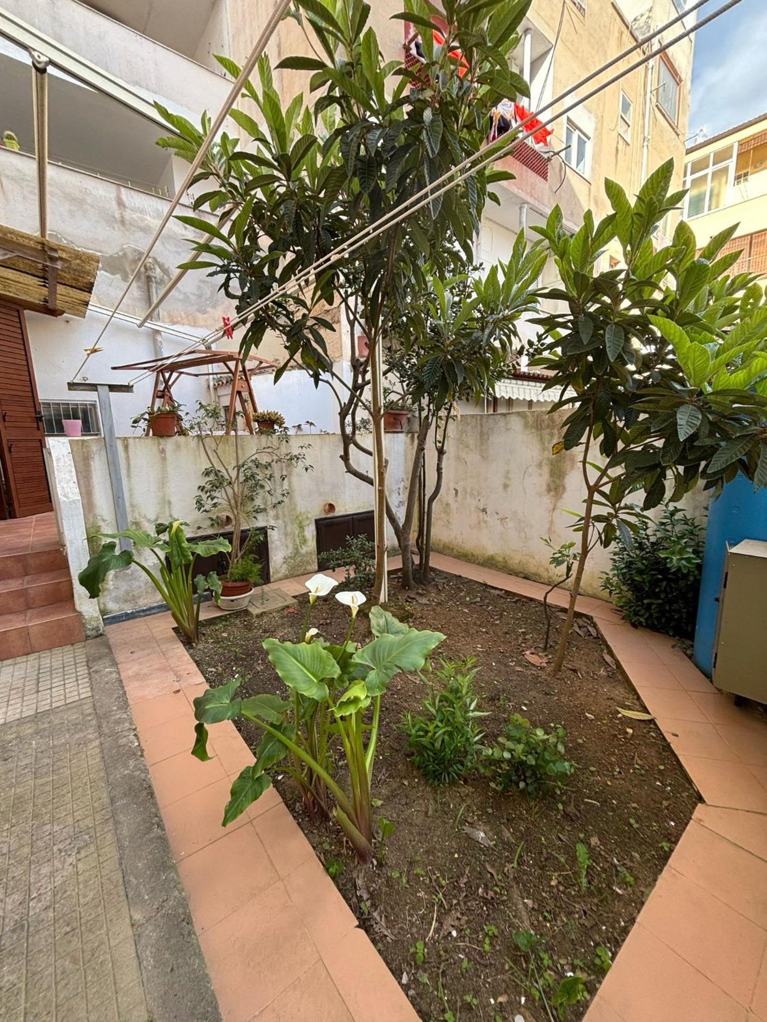 Pm 41 Via Ennio Porrino Guest House อาลเกโร ภายนอก รูปภาพ